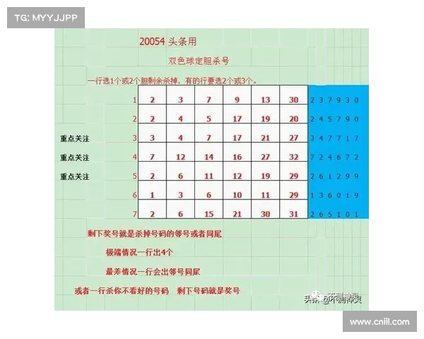 三胆揭秘：探索胆码预测的神秘力量
